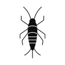 SilverFish