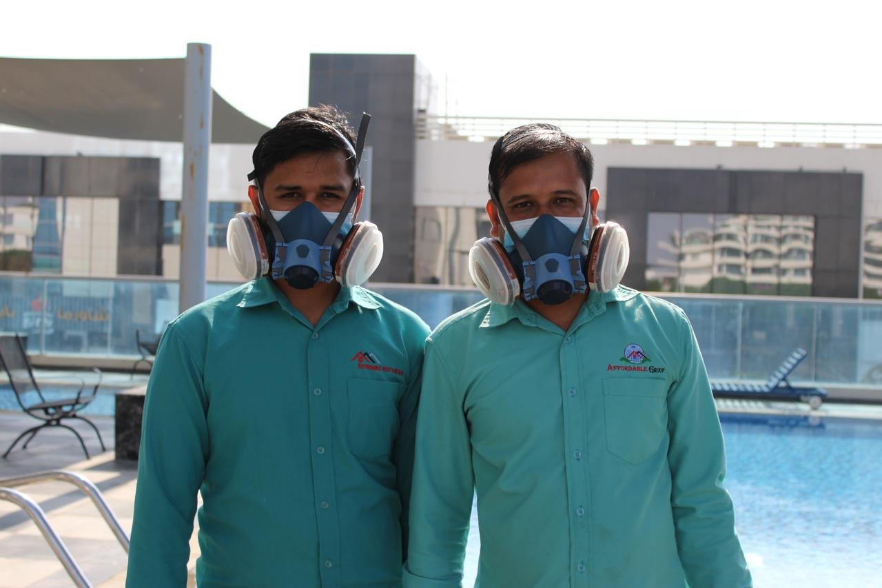 Pest Control services in dubai