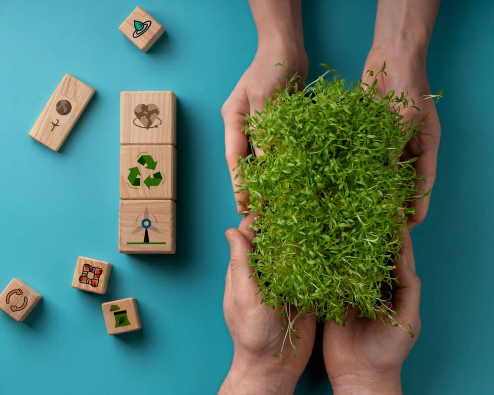 facility management company Dubai