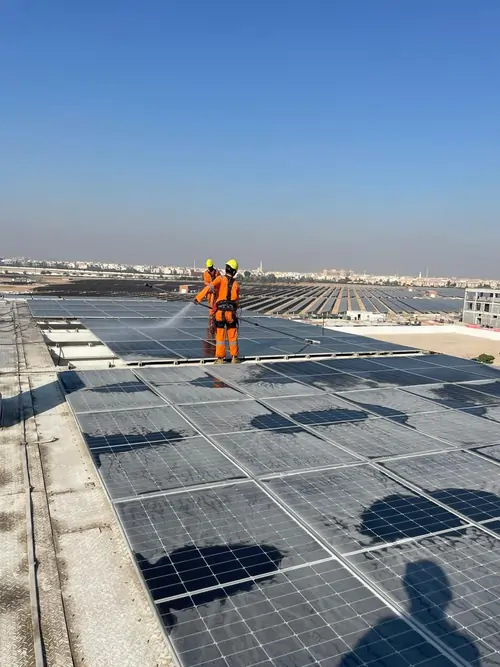 Solar panel cleaning