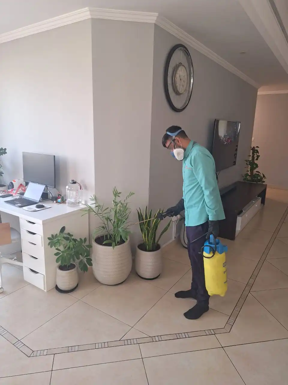 Professional Pest Control Technician