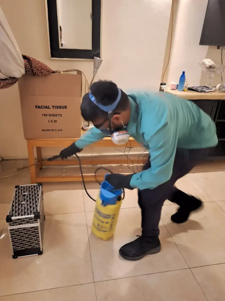 Pest Control in dubai