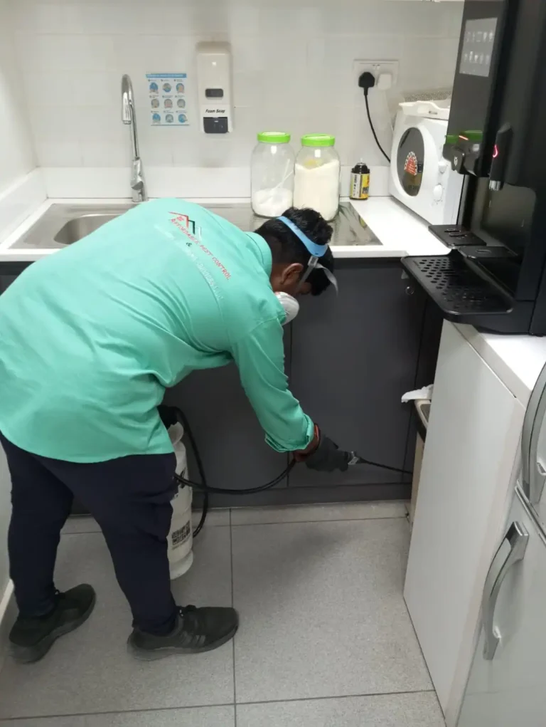 Pest control service in Dubai home during summer